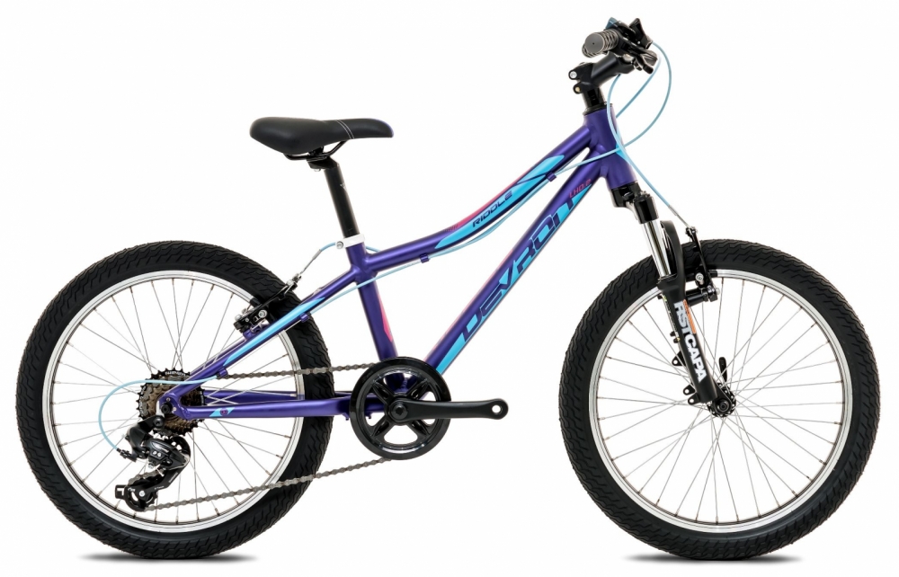 Bicicleta copii Devron Riddle Lh 0.2 S 280 deep purple 20 inch marca Devron cu comanda online